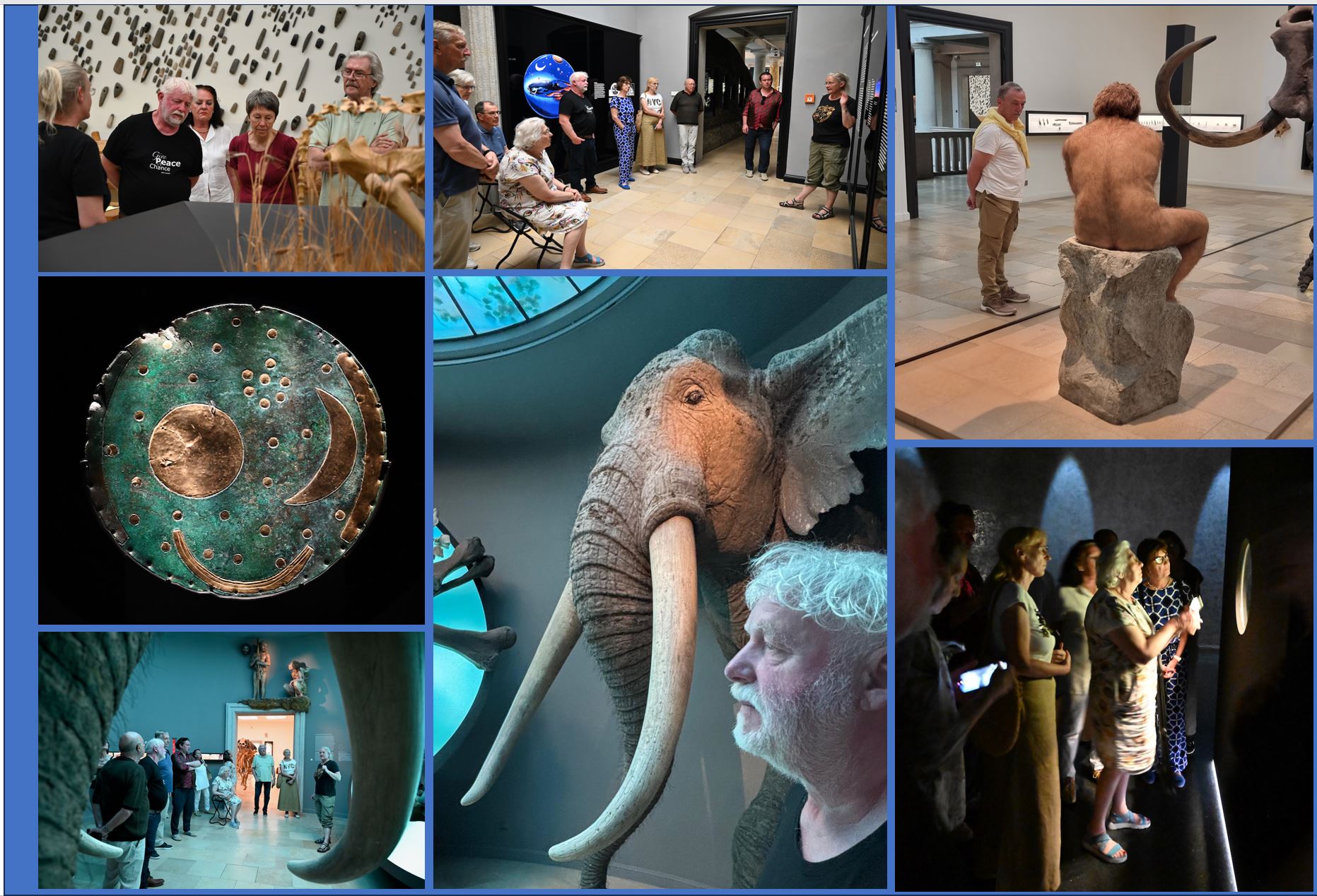 Landesmuseum Halle